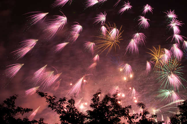 【お盆特集】2015年全国花火大会と花火のいろは